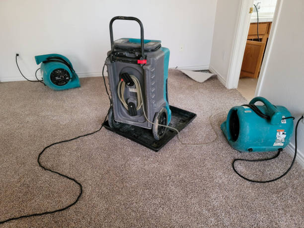 Best Fire Damage Restoration  in Hazelwood, MO