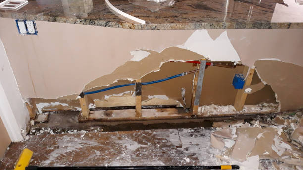 Best Water damage contractors near me  in Hazelwood, MO