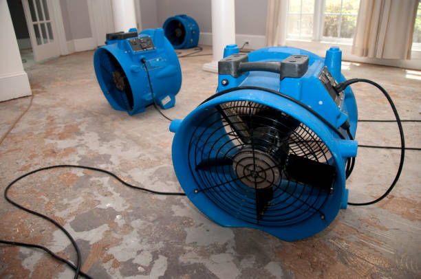 Best Emergency water damage restoration  in Hazelwood, MO