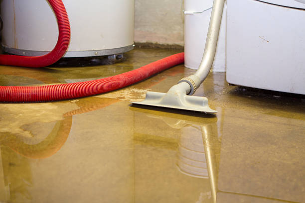 Best Local water damage restoration  in Hazelwood, MO