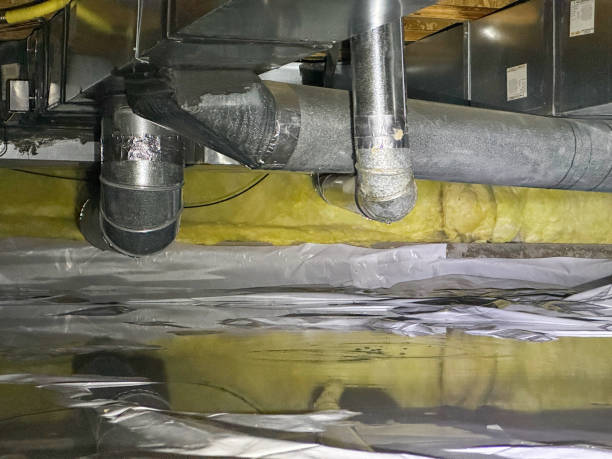 Best 24-hour water damage restoration  in Hazelwood, MO