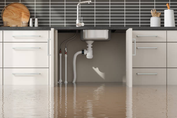Best Flood damage cleanup  in Hazelwood, MO