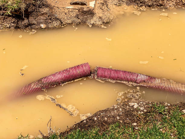 Best Basement water damage restoration  in Hazelwood, MO