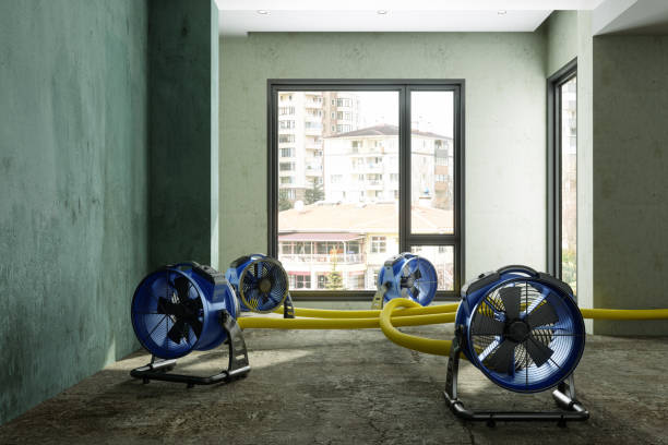 Best Flood restoration services  in Hazelwood, MO